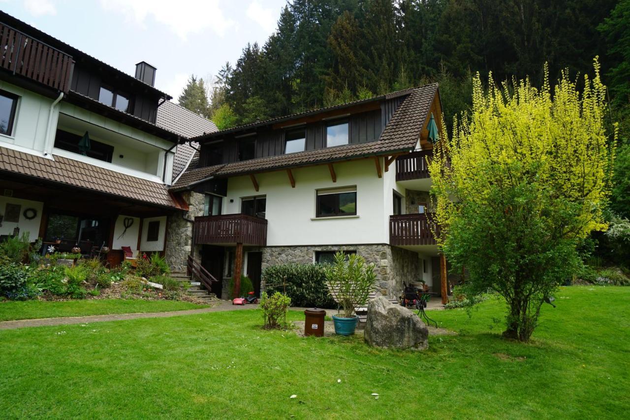 Hoellkopf - Stubenhof, Black Forest Simonswald Kültér fotó